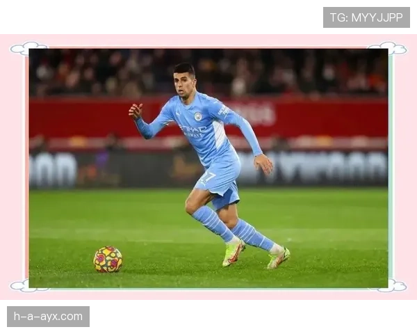 若昂·坎塞洛：葡萄牙国家队主力边后卫