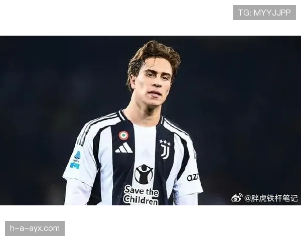 伊尔迪兹青年才俊解析 伊尔迪兹青年才俊解析